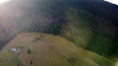 Sonbaharda Karpatlar, sonbaharda sabah manzarası, Ukrayna