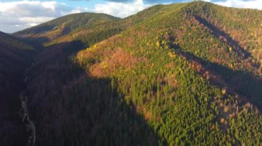 Sonbaharda Karpatlar, sonbaharda sabah manzarası, Ukrayna