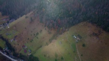 Sonbaharda Karpatlar, sonbaharda sabah manzarası, Ukrayna