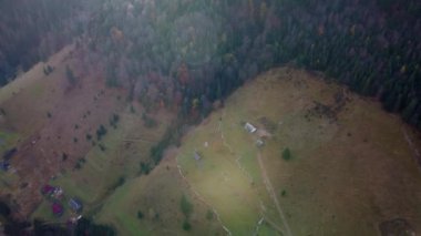 Sonbaharda Karpatlar, sonbaharda sabah manzarası, Ukrayna