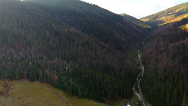 Carpazi Montagne Autunno Vista Mattutina Ucraina — Video Stock