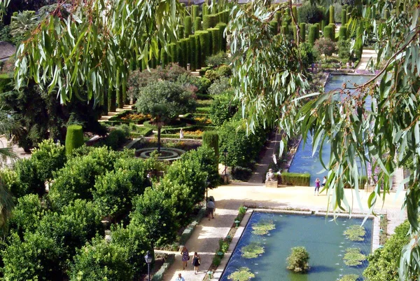 Córdoba y Alcázar — Foto de Stock