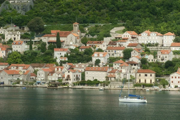 Kotor Czarnogóra — Zdjęcie stockowe