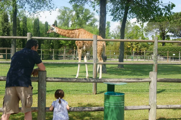 Kind im Zoo lizenzfreie Stockbilder
