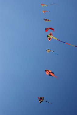 Kite at the beach