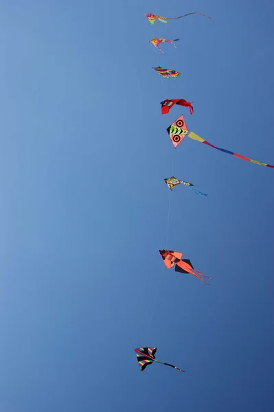 Kite at the beach — Stock Photo, Image