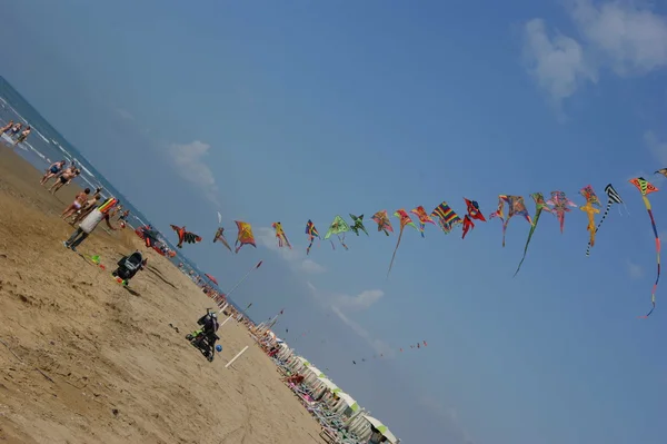 Kite på stranden — Stockfoto