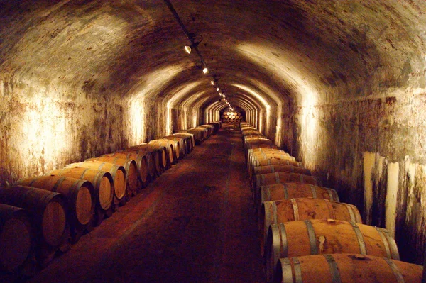 Collio üzerinde Vine