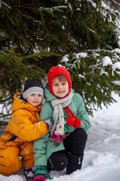 Портрет Двох Дівчат Біля Снігу Покрите Дерево Прогулянці Взимку — стокове фото