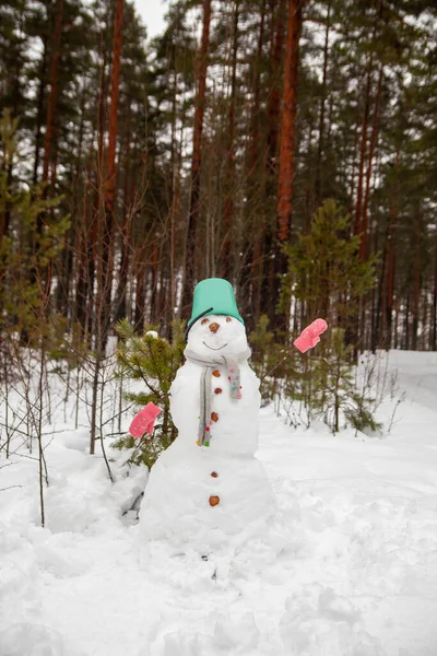 Snowman Bucket Head Mittens Hands Sticks Forest — Φωτογραφία Αρχείου