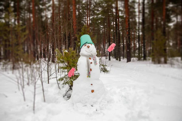 Snowman Bucket Head Mittens Hands Sticks Forest — Φωτογραφία Αρχείου