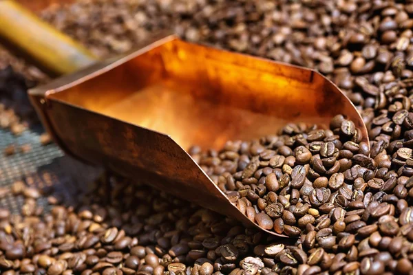 Copper spoon in coffee beans — Stock Photo, Image