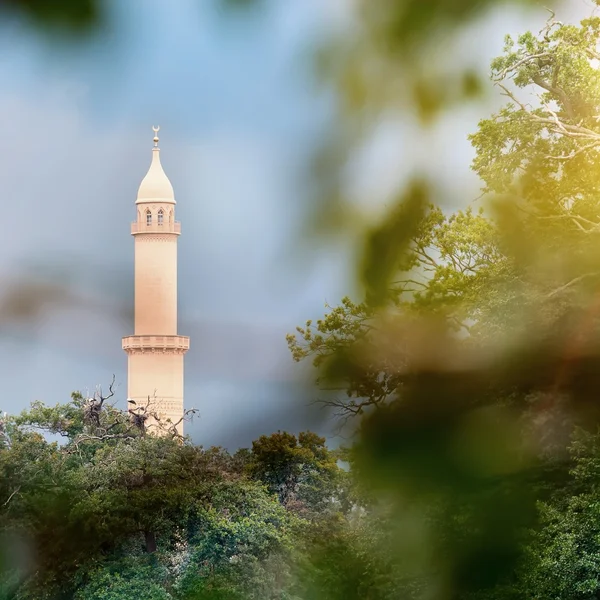 stock image Minaret