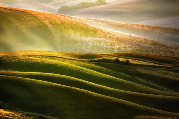 Campo rural na Itália Região da Toscana — Fotografia de Stock