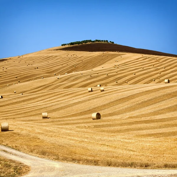 Pacas de paja en tierras de cultivo con cielo azul nublado — Foto de Stock