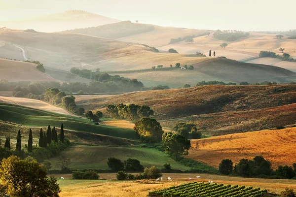 Італійської сільській місцевості в Тоскані — стокове фото