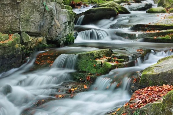Mountain stream in autumn — Stock Photo, Image