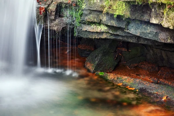 Dettaglio flusso in autunno colore — Foto Stock