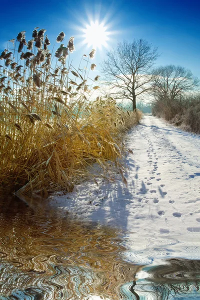 Ein schöner sonniger Wintertag ein schöner sonniger Wintertag — Stockfoto