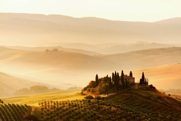 Schilderachtig uitzicht van typisch Toscaanse landschap — Stockfoto
