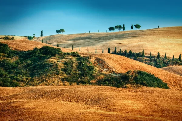 Paisagem toscana na hora de verão — Fotografia de Stock