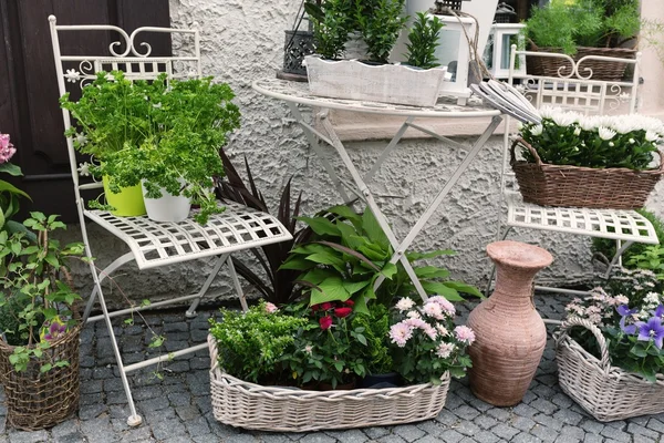 Herb leaf and flowers selection in a rustic wooden basket — Stock Photo, Image