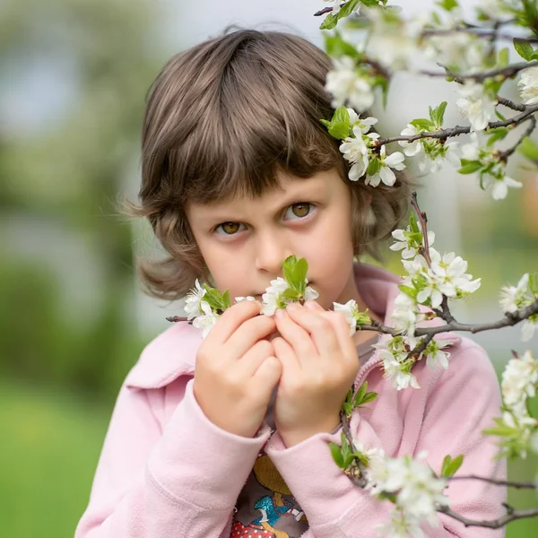 Menina pequena com uma árvore florescente — Fotografia de Stock