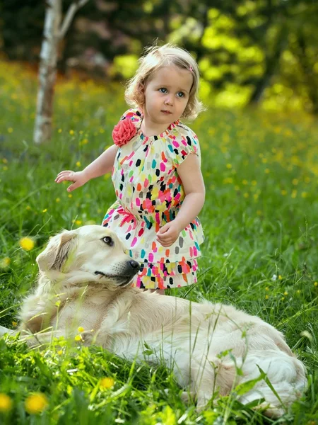Ребенок и золотой ретривер — стоковое фото