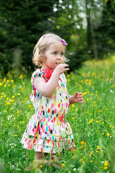 Schattig klein meisje in een weiland vol met bloemen — Stockfoto