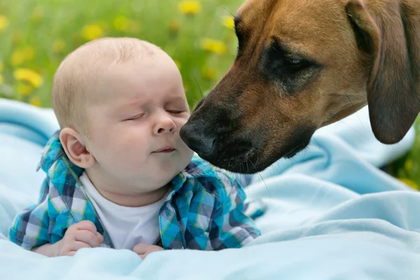 Bebek ve köpek — Stok fotoğraf