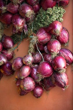 Kırmızı soğan tropea dan demet,