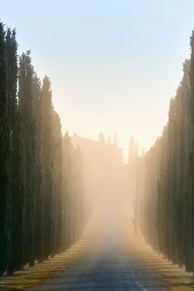 Krajobraz Toskanii wcześnie rano — Zdjęcie stockowe