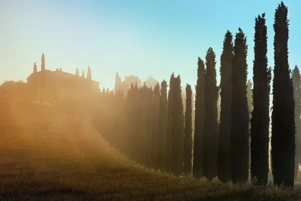 Toscaanse landschap vroege ochtend — Stockfoto