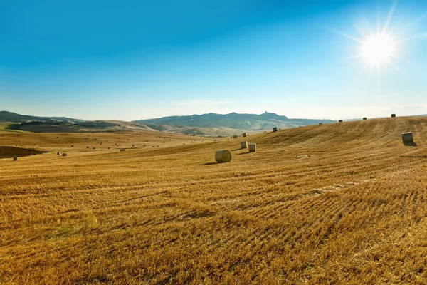 Zemědělská krajina v Toskánsko - Itálie — Stock fotografie