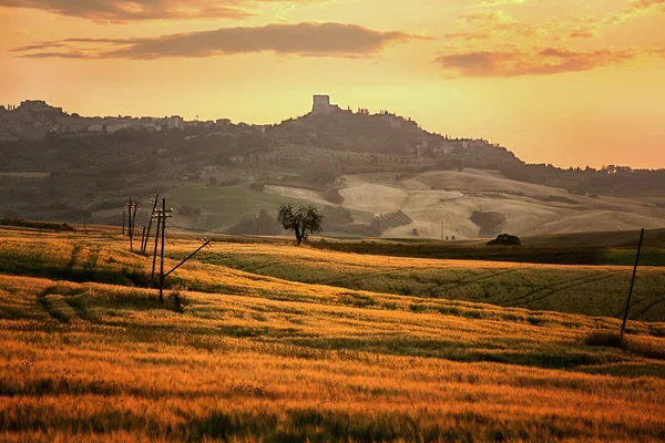 Toskana — Stockfoto