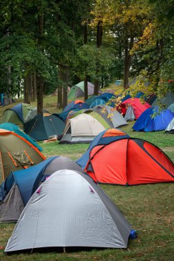 doğadaki birçok çadır