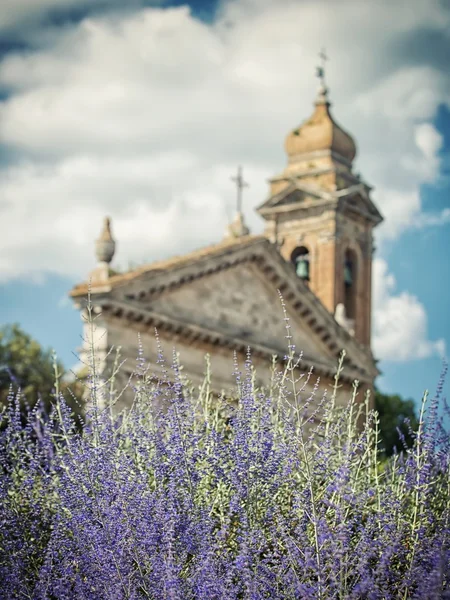 Blooming lavender in the background of the old church — Stock Photo, Image