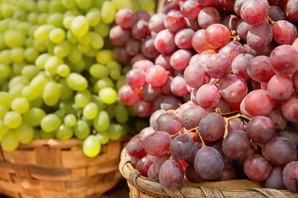 Grapes of different varieties — Stock Photo, Image