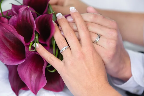 Pareja de boda — Foto de Stock