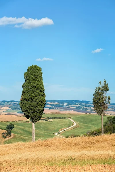 Campo rural na Itália Região da Toscana — Fotografia de Stock