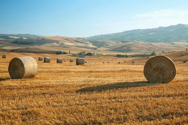 View of summer landscape in Tuscany, Italy — Stock Photo, Image