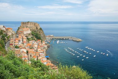 Scilla