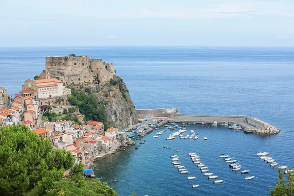 Scilla — Stock Photo, Image