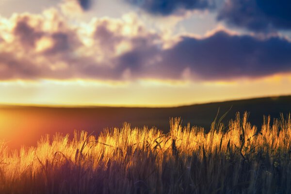 Beautiful view of the typical Tuscan landscape at sunset