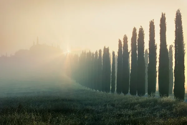 Paisagem típica toscana — Fotografia de Stock