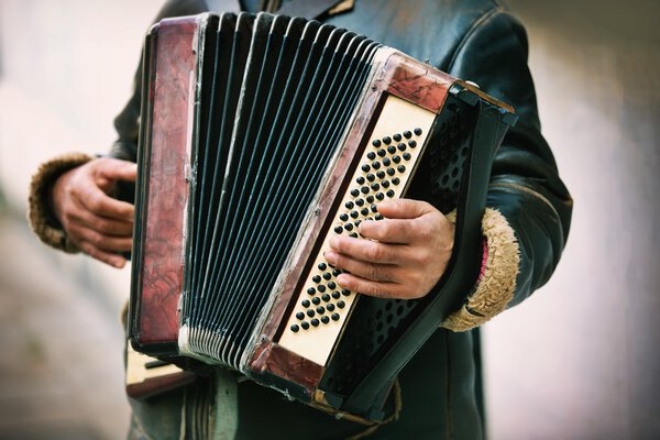 Игра на губной гармошке
