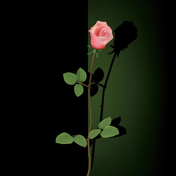 Абстрактный гранж фон с розой — стоковый вектор