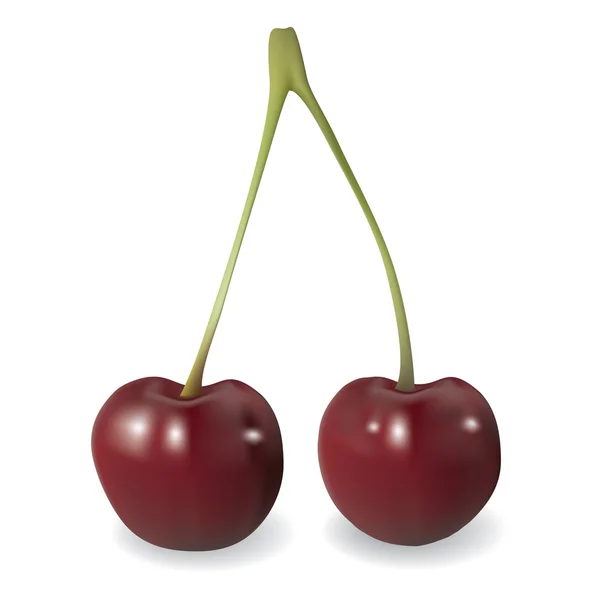 Vektor cherry isolerad på vit bakgrund — Stock vektor