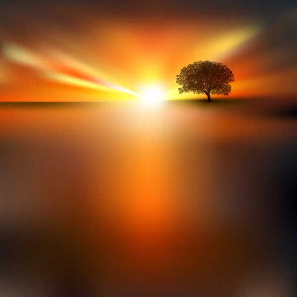 Abstrakter Hintergrund mit Baum und Sonnenaufgang — Stockvektor