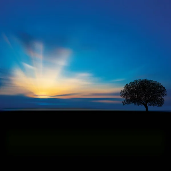 Fond abstrait avec nuages arbre et lever de soleil — Image vectorielle